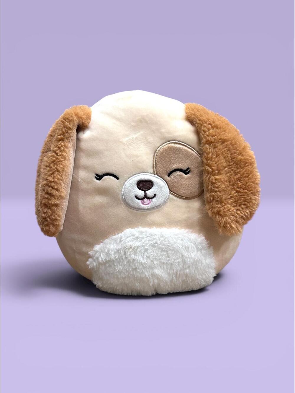 Harris the Dog Squishmallow 8"